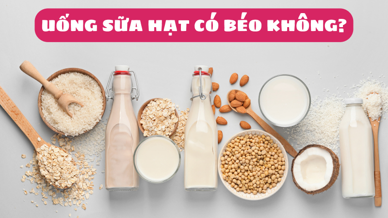 uống sữa hạt có béo không