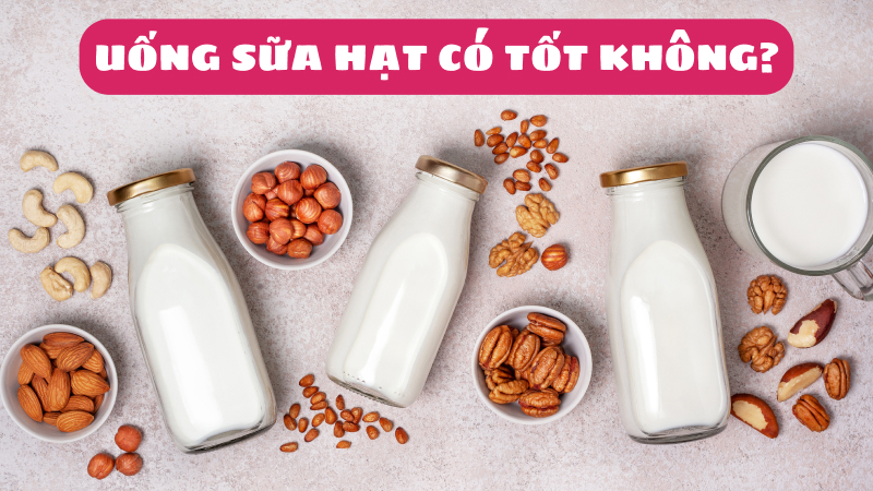 Uống sữa hạt có tốt không