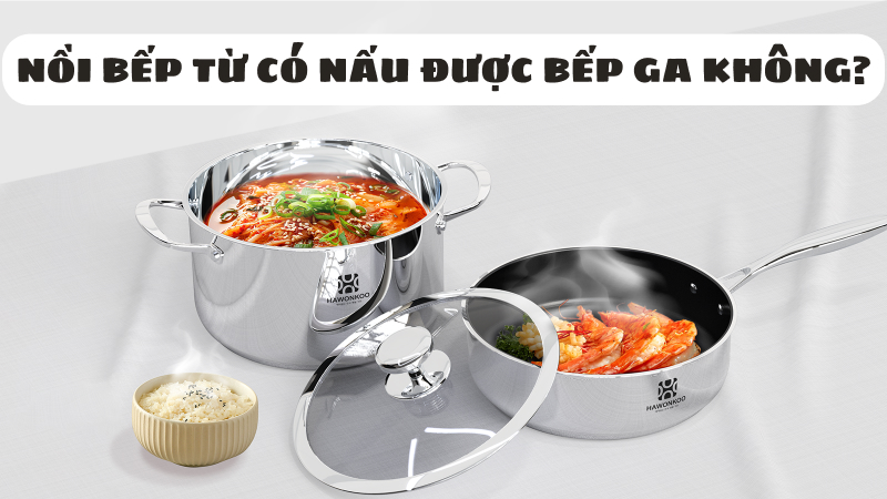 Nồi bếp từ có nấu được bếp ga không? Có nên dùng không?