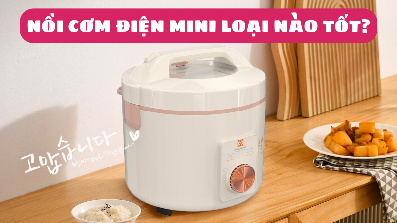 Mua nồi cơm điện mini đa năng loại nào tốt - Cách chọn