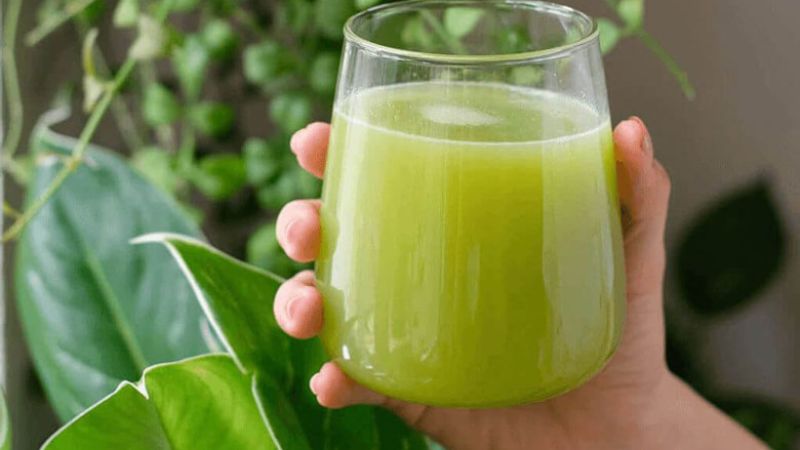 Nước ép cóc giúp hỗ trợ sức khỏe tim mạch