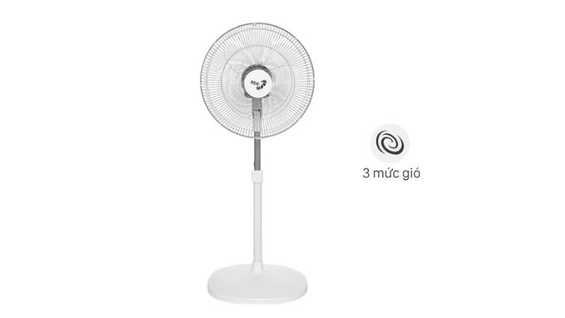 Quạt cây Asia được lựa chọn nhờ thiết kế đa dạng, khả năng tạo gió ổn định